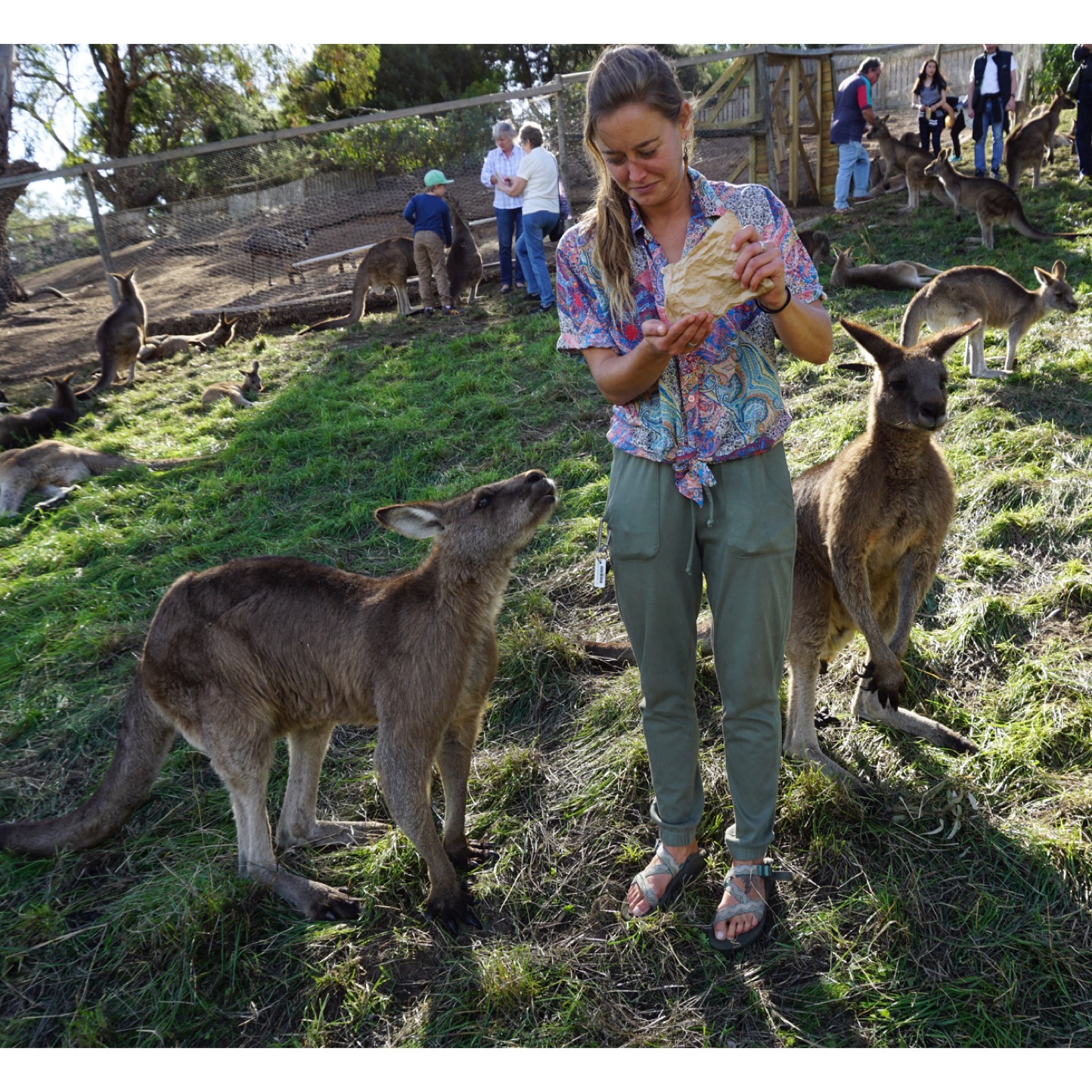 Read more about the article The Dirtbag Chronicles; Epically Aussie in Tassie